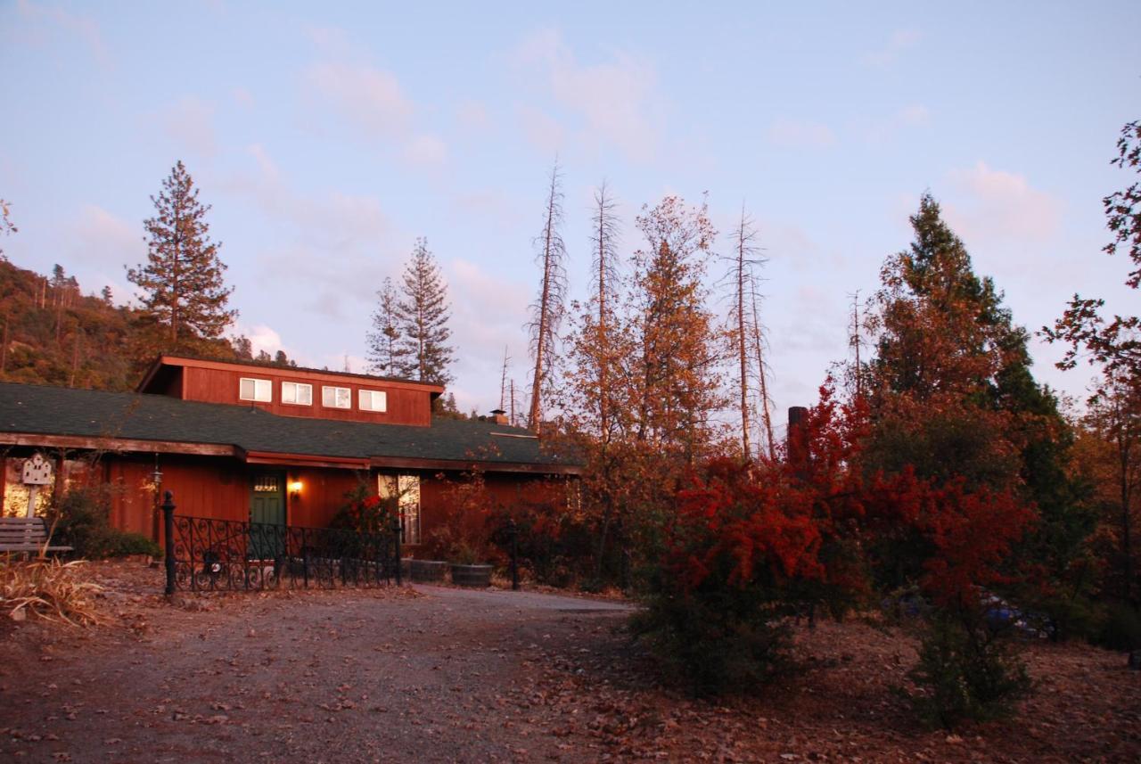 Sunny Pines Cottage Mariposa Exterior photo